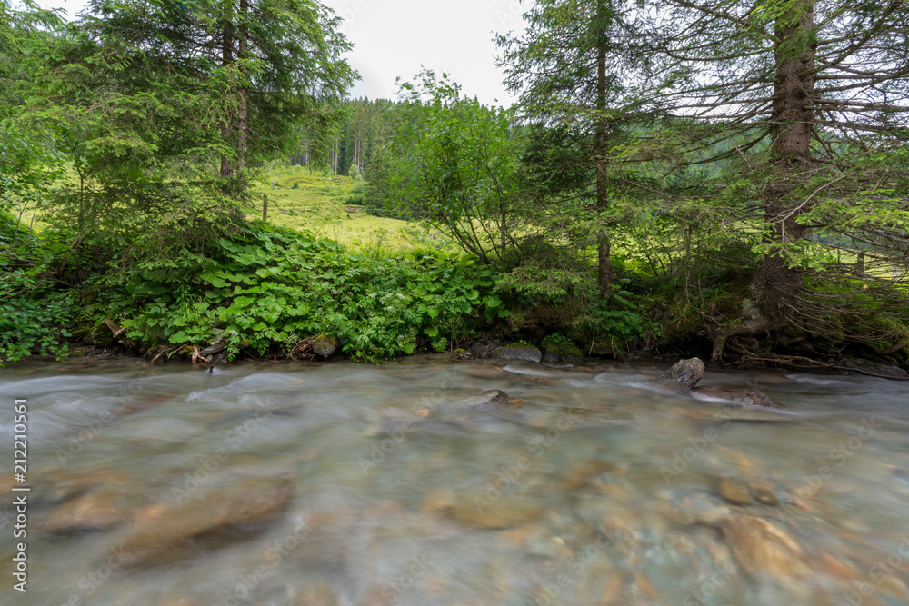 Kleiner Bach in Wiesen und Waldlandschaft Kleiner Bach in Wiesen und Waldlandschaft