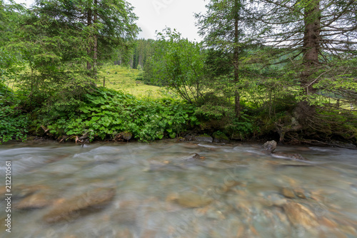 Kleiner Bach in Wiesen und Waldlandschaft
