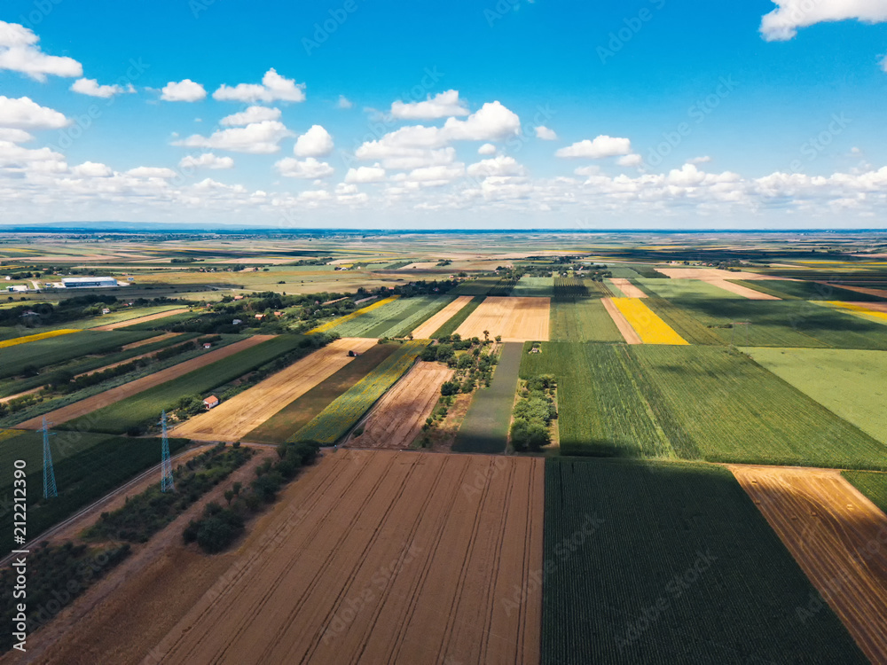 Aerial view of cultivated fields from drone perspective