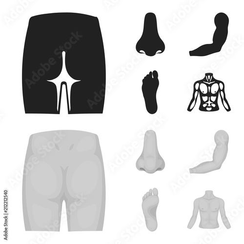 Buttocks, nose, arm, foot. Part of the body set collection icons in black,monochrome style vector symbol stock illustration web.