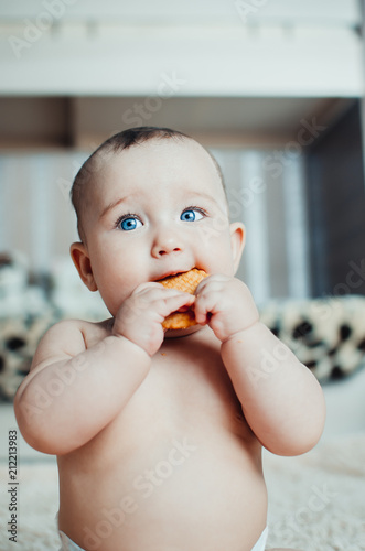 adorable baby eating a cookie photo