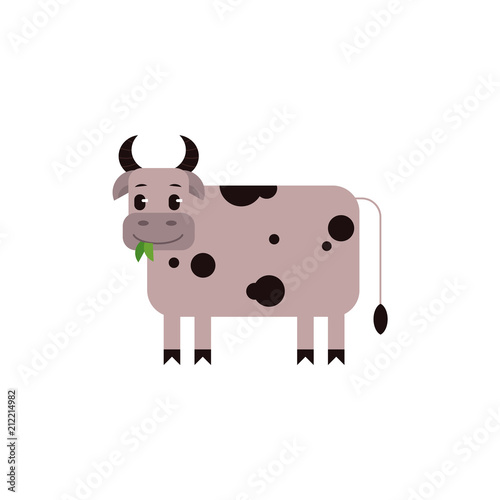 Cow with black spots chewing green leaves in flat style isolated on white background - cute standing farm domestic animal. Side view of milk livestock in cartoon vector illustration.