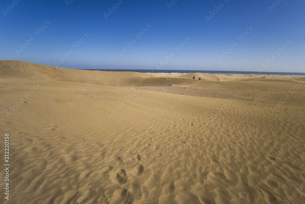 maspalomas dunes, gran canaria, spain - summer evening time, wind is blowing the sand up, sunset and golden hour, dunes, perfect time, end of sunny day