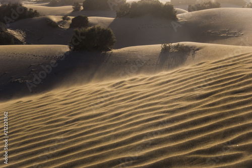 dunes maspalomas  always in the move  wind is creating new shapes and hills