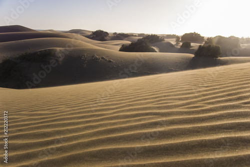 dunes maspalomas, always in the move, wind is creating new shapes and hills