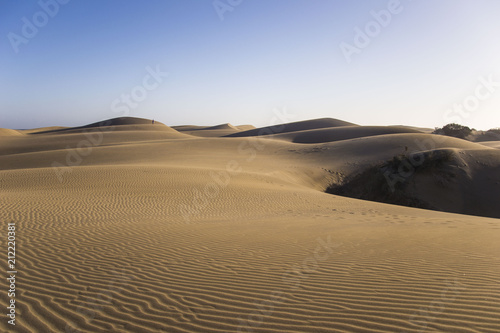 dunes maspalomas  always in the move  wind is creating new shapes and hills