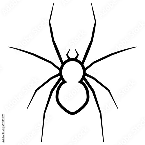 Spider vector icon.