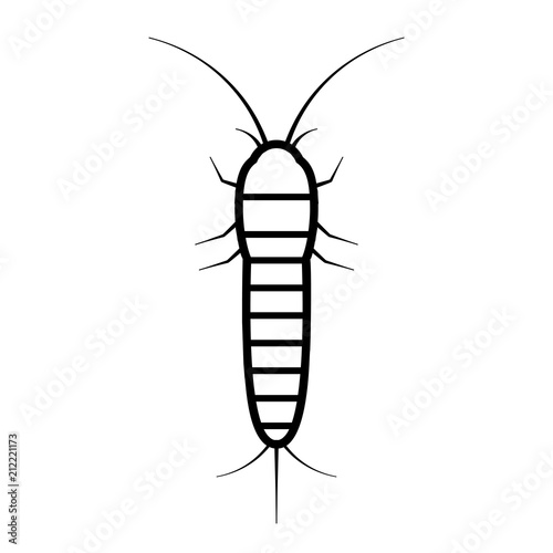 Silverfish vector icon