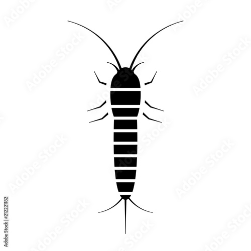 Silverfish vector icon