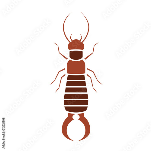 Earwig bug icon