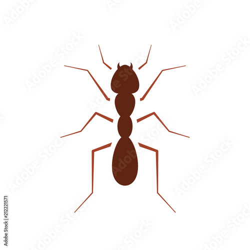 Red ant icon