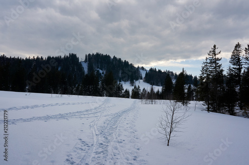 Pfade im Schnee