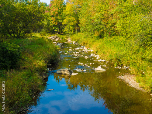 A small river near my home.