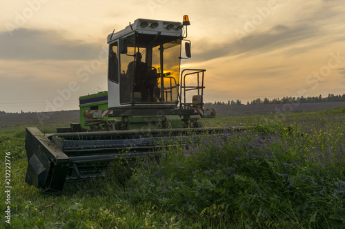 The harvesting machine mows the field of alfalfa against the background of the evening sky, the sun shines beautifully through the cabin.. © Evgeny