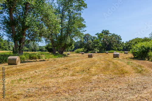 Hay Bales in the Countryside