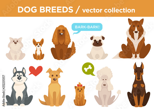 Dog breeds vector cartoon animals