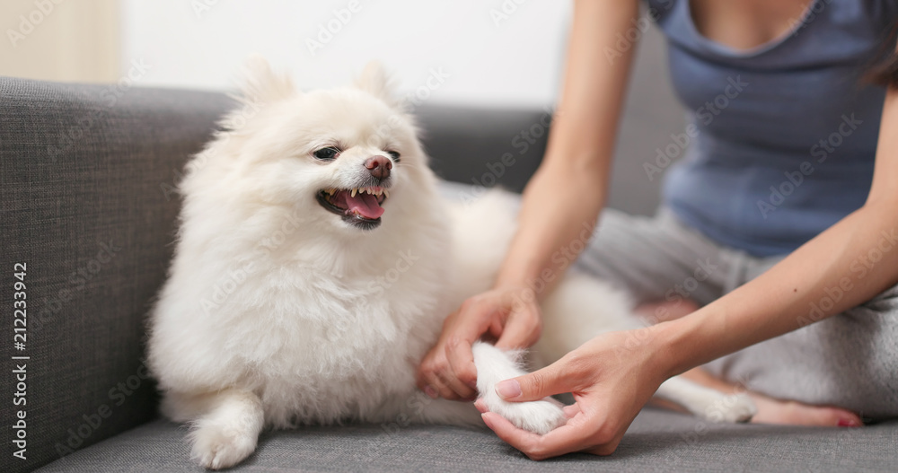Pet owner checking the hand of her dog