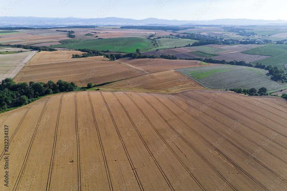 Obraz premium Field with rows