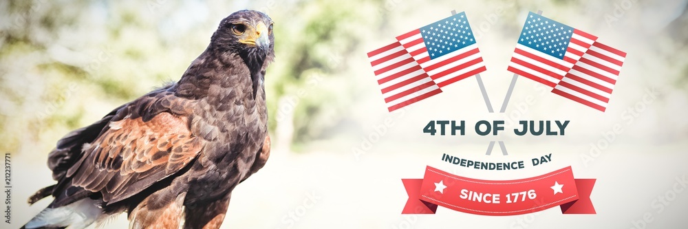 Fototapeta premium Composite image of independence day graphic