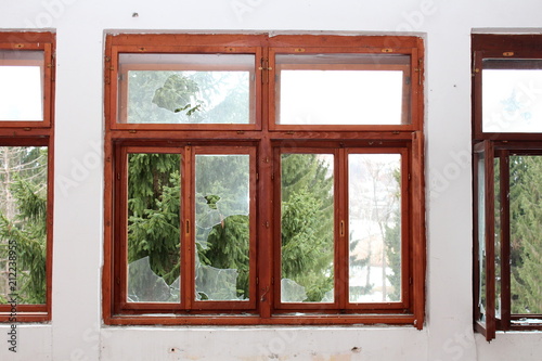 Renovated wooden window frame with broken glass and tall pine trees in background surrounded with dilapidated wall