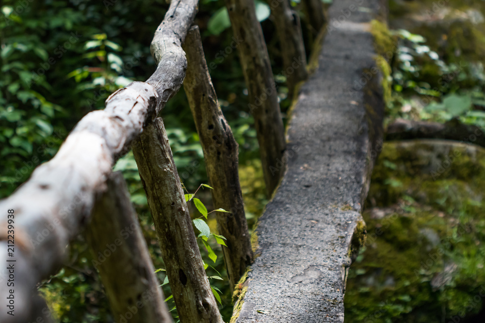 Fototapeta premium Primitive wooden bridge spanning over stream in the mountains