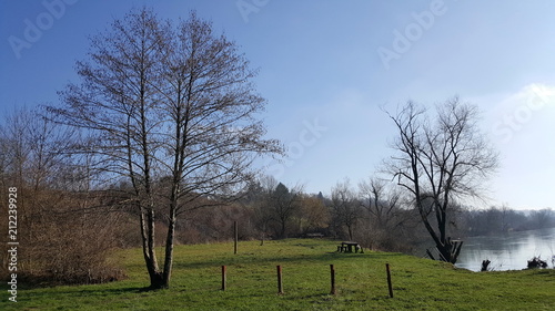 River picnic area with cut green grass, wooden table with benches, barbeque area and tall trees without leaves surrounded with smaller vegetation in late autumn