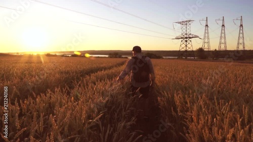 A traveler walks the wheat field, towards the sun