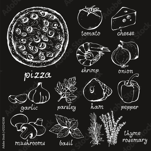Pizza and ingredients vector set, hand drawn food set on chalkboard background: pizza, tomato, cheese, shrimp, onion, garlic, parsley, ham, pepper, champignon, thyme, rosemary