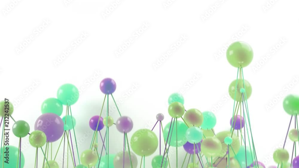 Molecular Network Molecular Network