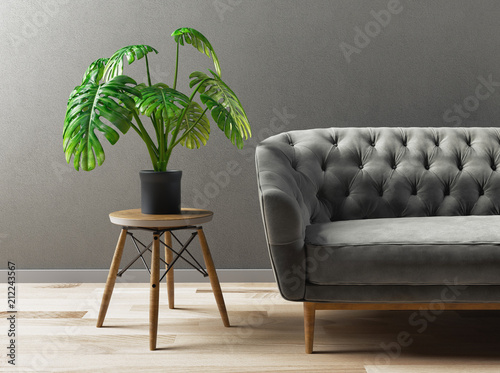 Plant and grey sofa, modern...