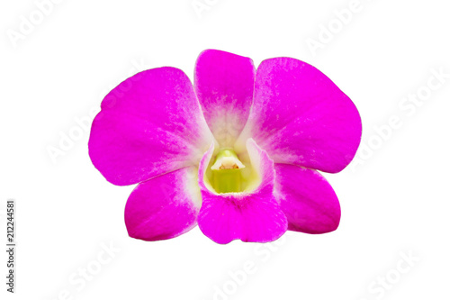 Pink orchid on white background with clipping path © Alongkorn