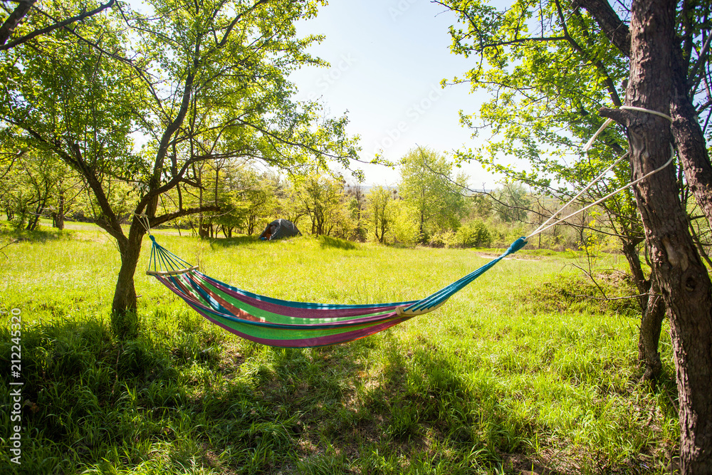 hammock hanging between trees on green field at sunny day - obrazy, fototapety, plakaty 
