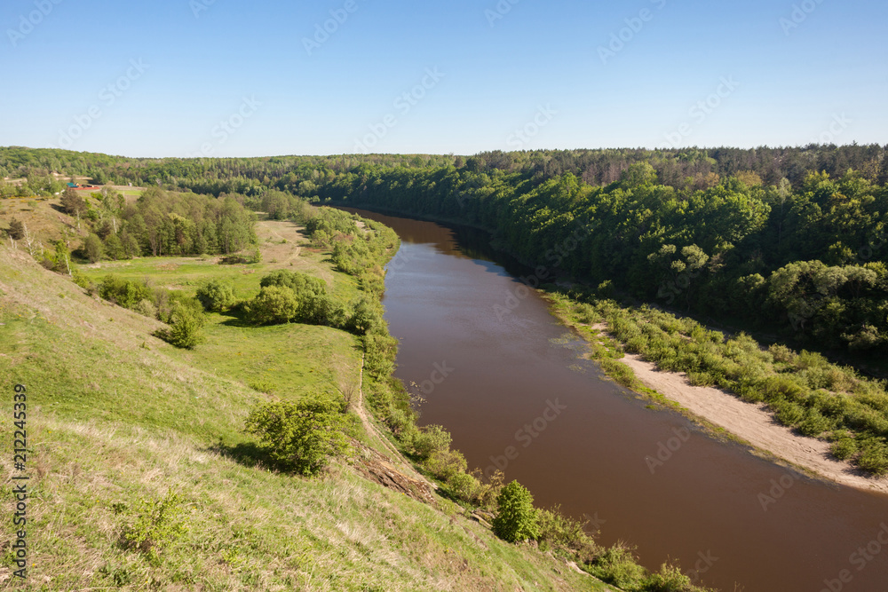 picturesque view of large river surrounded by summer forest