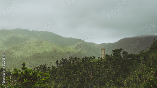 Moody El Yunque Mountain Tower