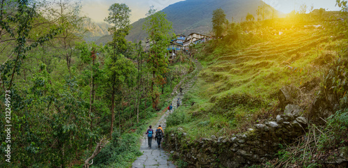 Cuadro en lienzo A group of  modern tourists backpackers travels in the summer along the agriculture village of rice on terrace hill way,  Nepal Himalayas