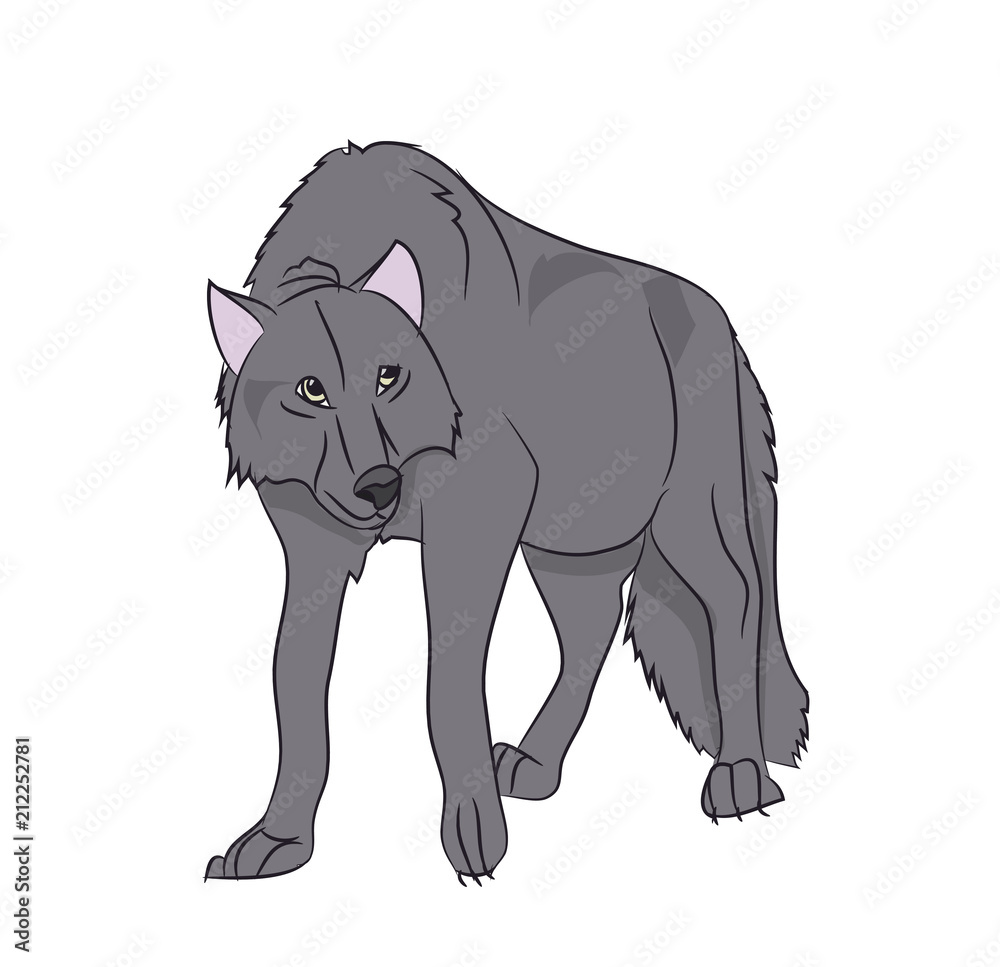 wolf stands, color vector