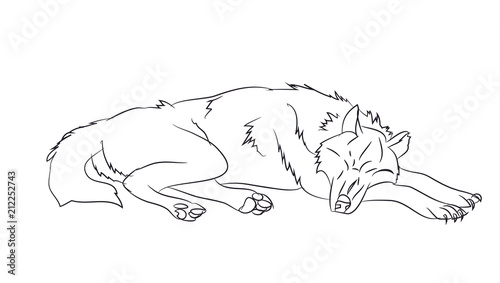 wolf lies, lines, vector