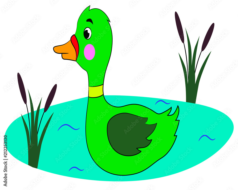 Fototapeta premium vector illustration of a duck on the pond