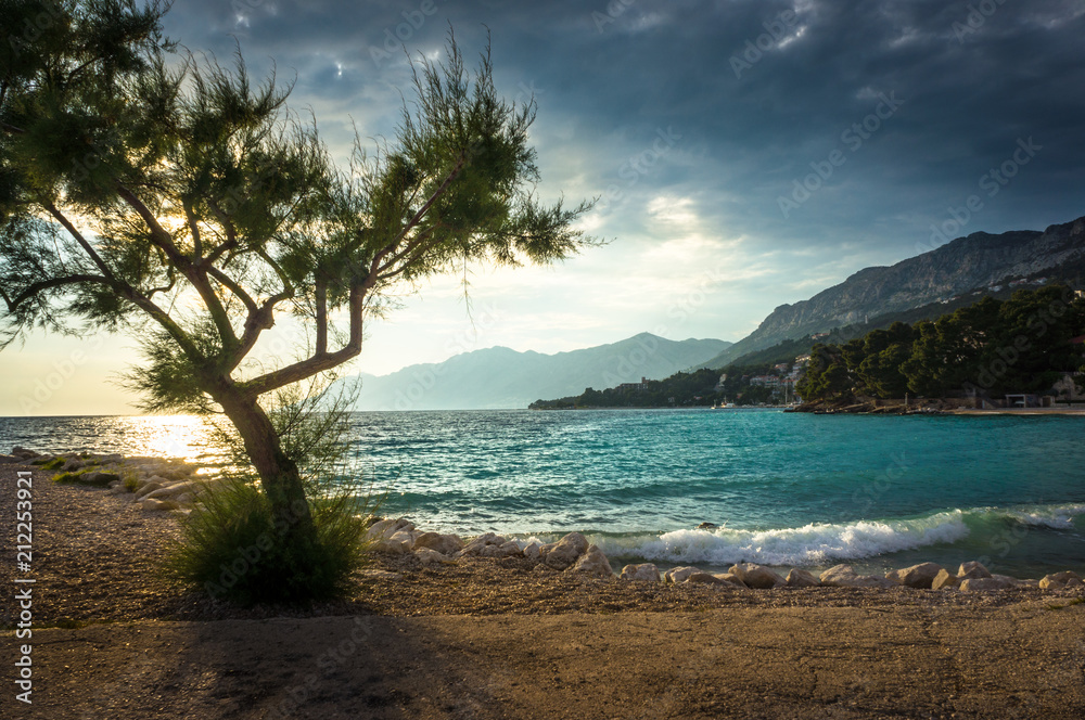 Azure water on the beach in Brela with a tree in the foreground. Dalmatia, Croatia Azure water on the beach in Brela with a tree in the foreground. Dalmatia, Croatia