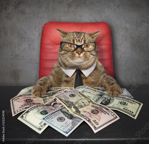 Canvastavla The smart cat sits at the table on which there are a lot of american dollars