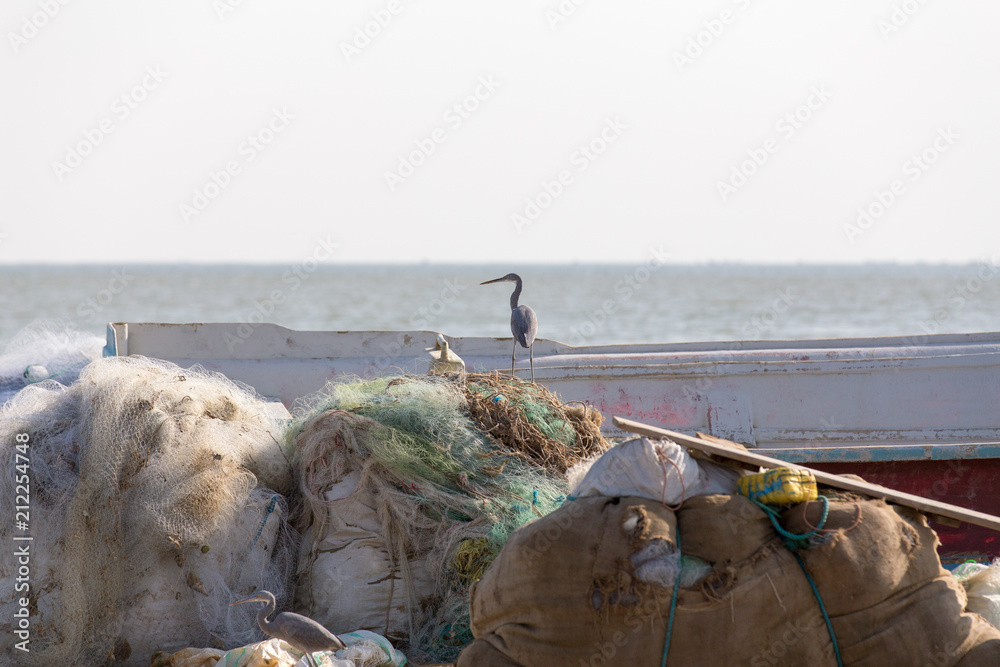 Fototapeta premium Fishing in Gwadar Bay, Sistan and Baluchistan, Iran