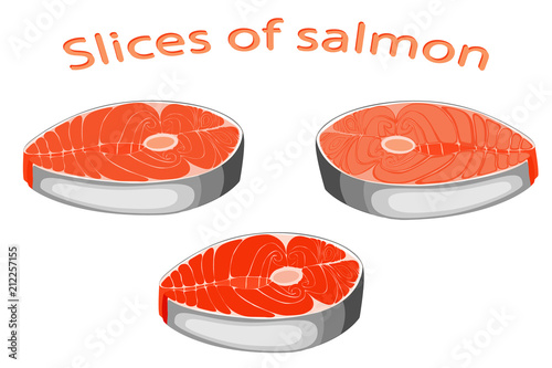 piece of fish. Cut salmon slice. Steak salmon isolated on white background. Vector illustration of fish. 