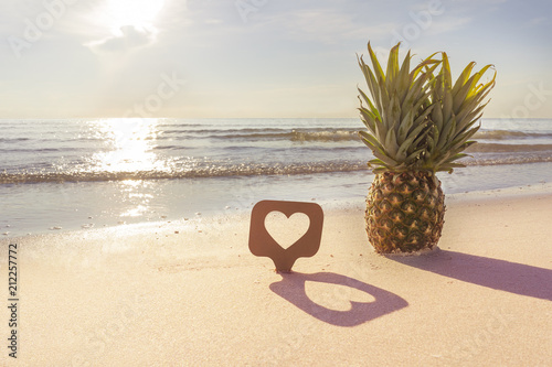 Spending holiday on a beach exotic fruit pineapple and like us sign on a sea cost travel concept photo