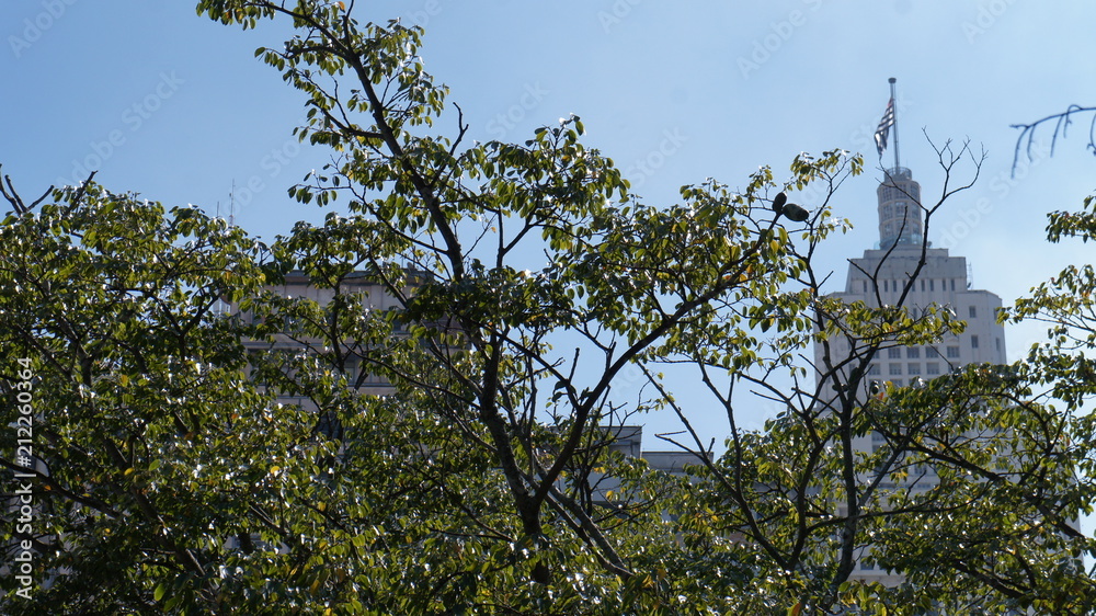 Sao Paulo 