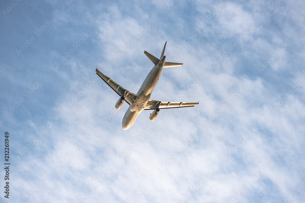 Fototapeta premium 滑空する旅客機