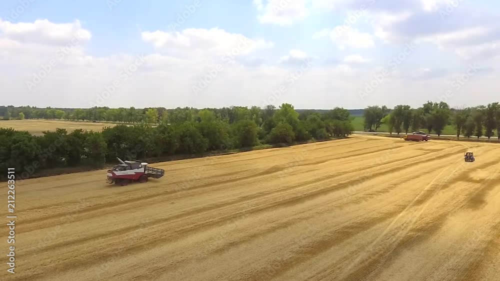 Combine in the field. Aerial view of harvesters. Season of gathering crops. Rye, wheat and barley. Combine in the field. Aerial view of harvesters. Season of gathering crops. Rye, wheat and barley.
