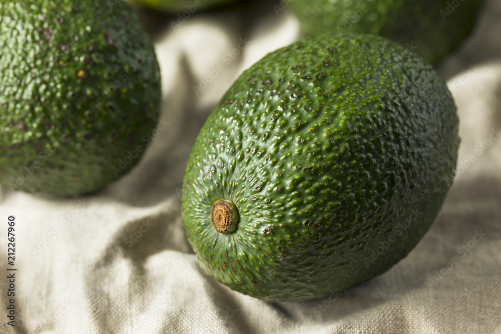 Raw Green Organic Unripe Avocados Raw Green Organic Unripe Avocados