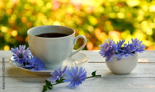 Cup with chicory drink and blue chicory flowers on white wooden table on the background of the garden.