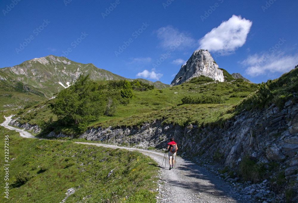 Fototapeta premium Sentiero di Montagna
