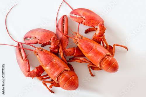two lobster top view isolated on a white background as fresh seafood or shellfish food concept as a complete red shell crustacean isolated on a white background.
